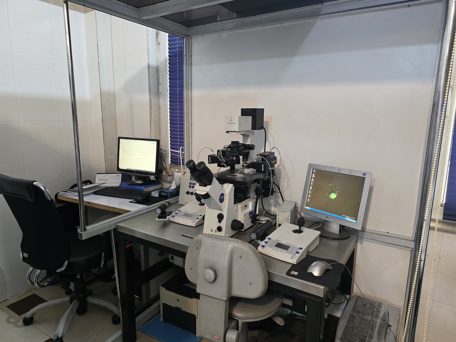 Gene Targeting Lab